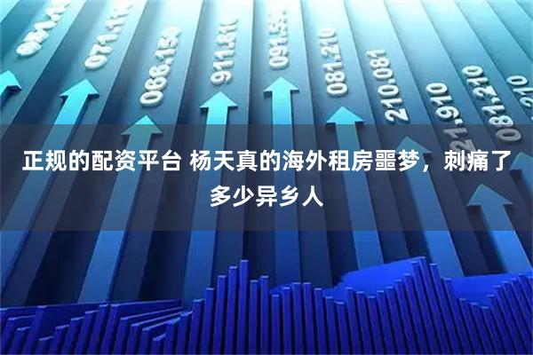正规的配资平台 杨天真的海外租房噩梦,刺痛了多少异乡人